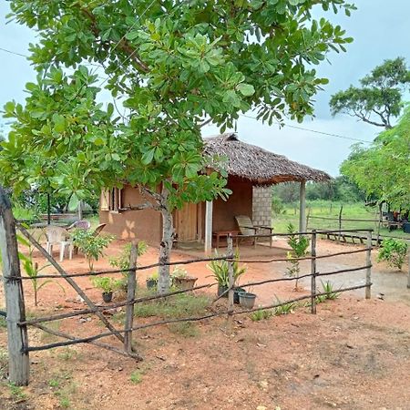 Anaga Home Stay & Eco Tourism Challi Luaran gambar