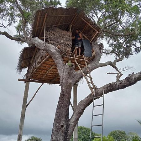 Anaga Home Stay & Eco Tourism Challi Luaran gambar