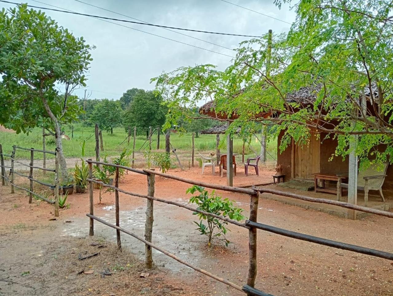Anaga Home Stay & Eco Tourism Challi Luaran gambar
