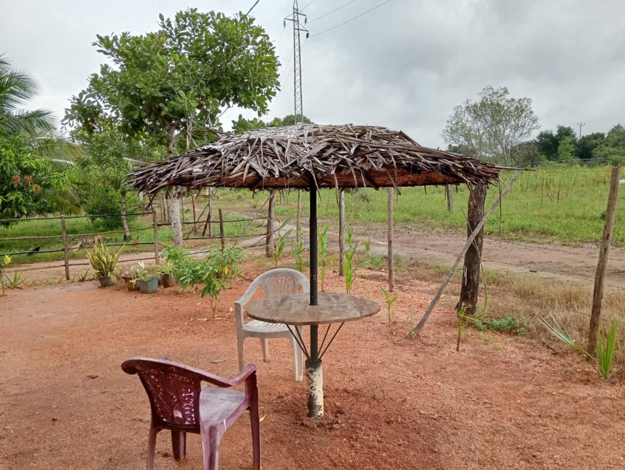 Anaga Home Stay & Eco Tourism Challi Luaran gambar